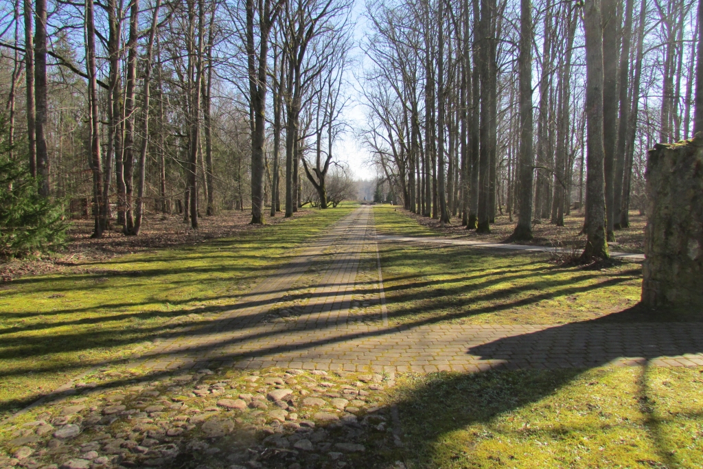 Skrīveru dendroloģiskajā parkā ir virs 300 kokaugu sugām, bet parkā ir virs 30 pasaules retumiem. Parka dibinātājs Maksis Zīverss bija ieguldījis lielu darbu, lai tagad mēs pastaigātos un priecātos — cik pasaule un mēs esam bagāti.