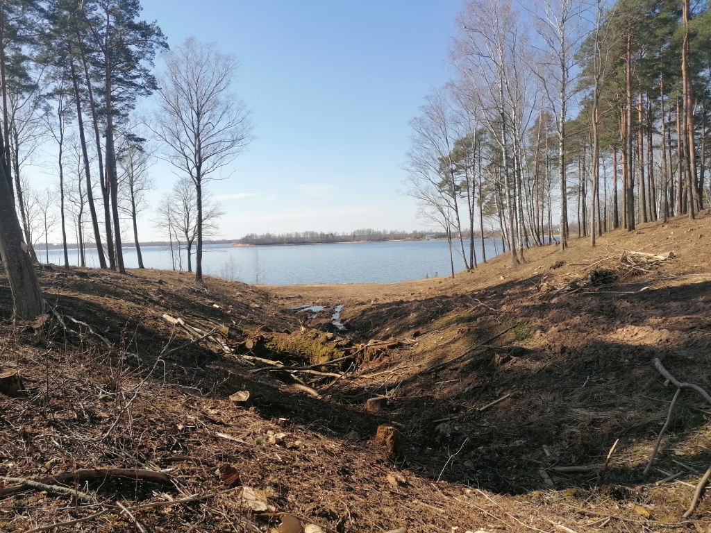 Vairs nevar apmaldīties. Koku biezoknis Daugavas piekrastē palicis pagātnē. Vecie un sausie koki izzāģēti, paverot skatu uz likteņupi.