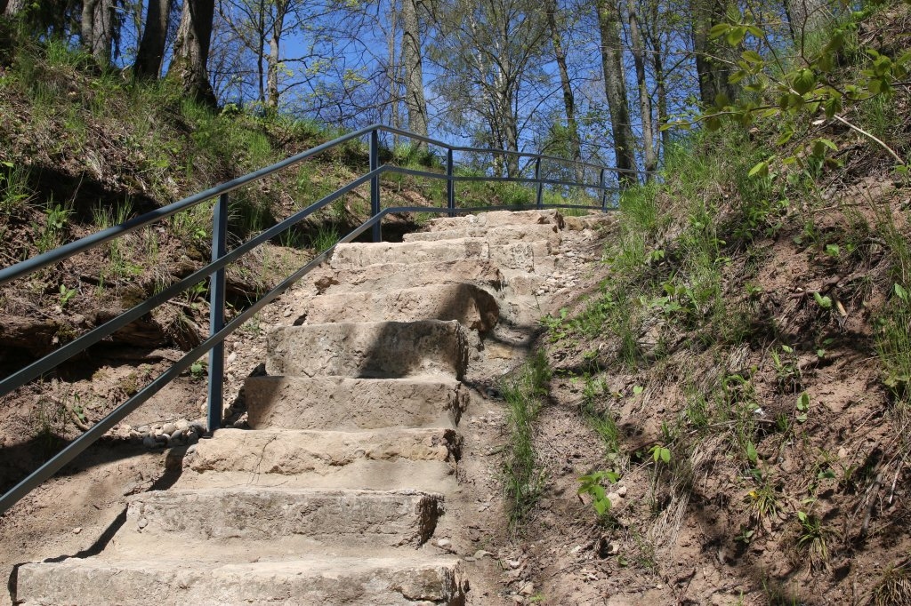 Autors: no “Latvijas valsts meži”