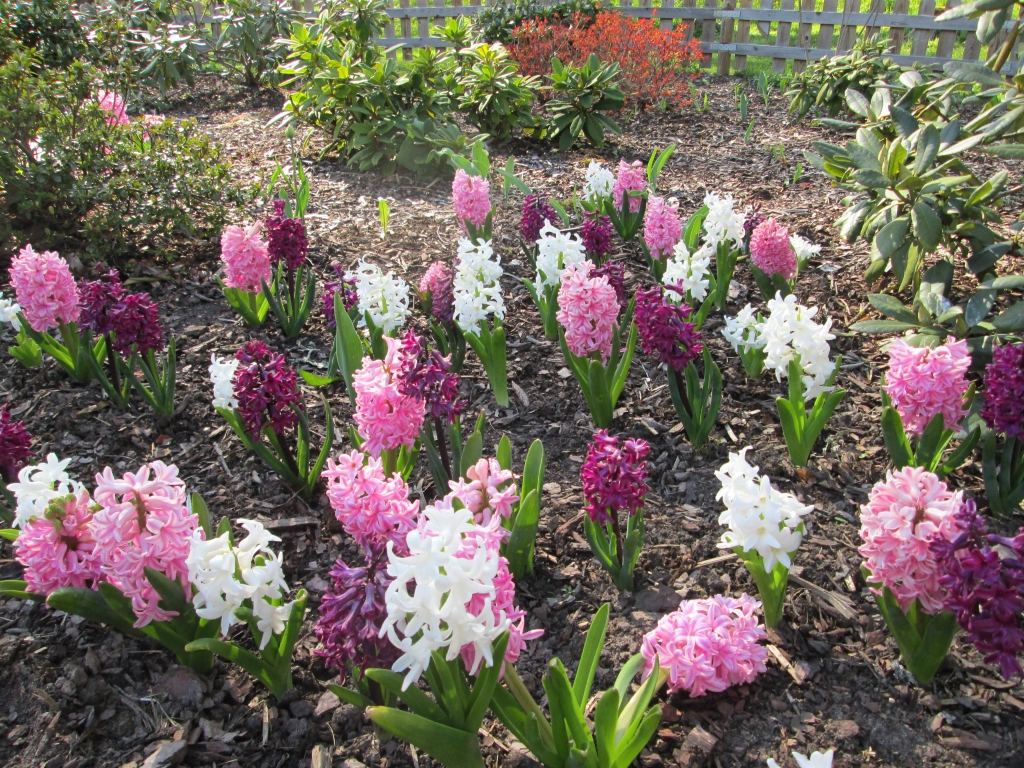 Autors: Ināra Sudare