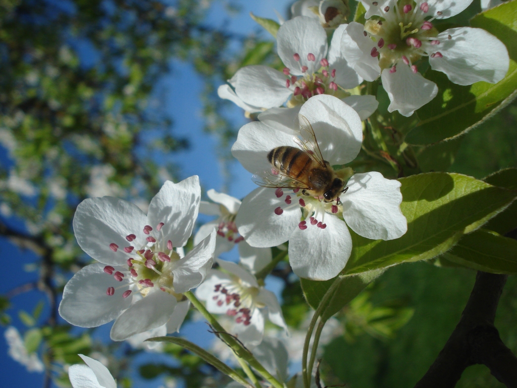 Autors: Silvija Karpoviča