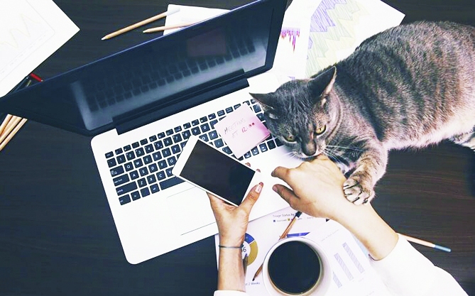 Autors: no gutmann-center.at