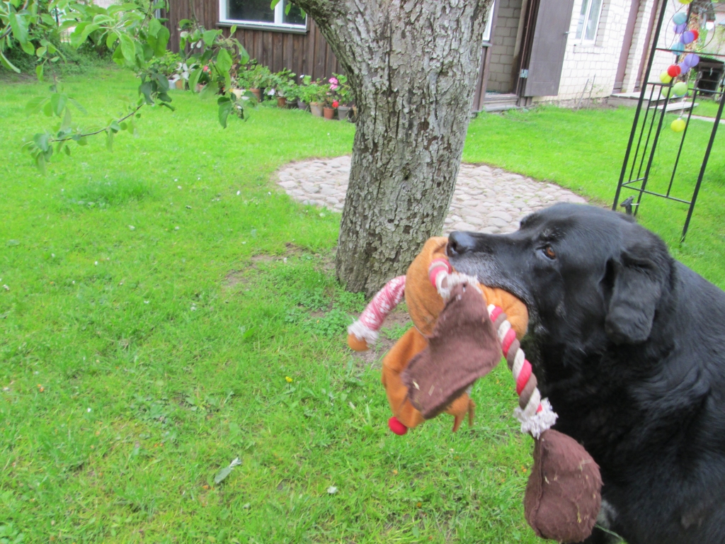 Autors: Ināra Sudare