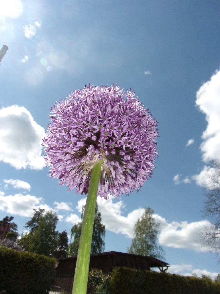 Autors: Inārs Dreijers