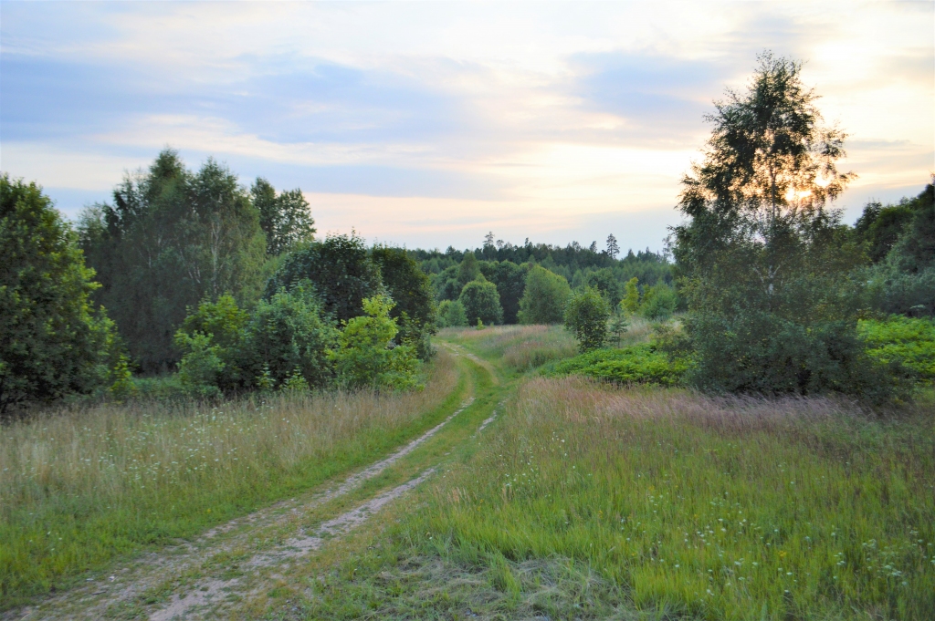 Saulgriežu nakts kulminācija notiks Gārsenes pagasta Sāra kalnos, kur pulksten 4.29 tiks sagaidīts saullēkts. Pie saulgriežu nakts ugunskura un lielā zupas katla tiek aicināts arī ikviens jāņubērns, kuram nakts ekspedīcija nav bijusi pa spēkam. Piedzīvosim saules rotāšanos Sēlijas dabā!
Autors: no J. Dzimtā albuma