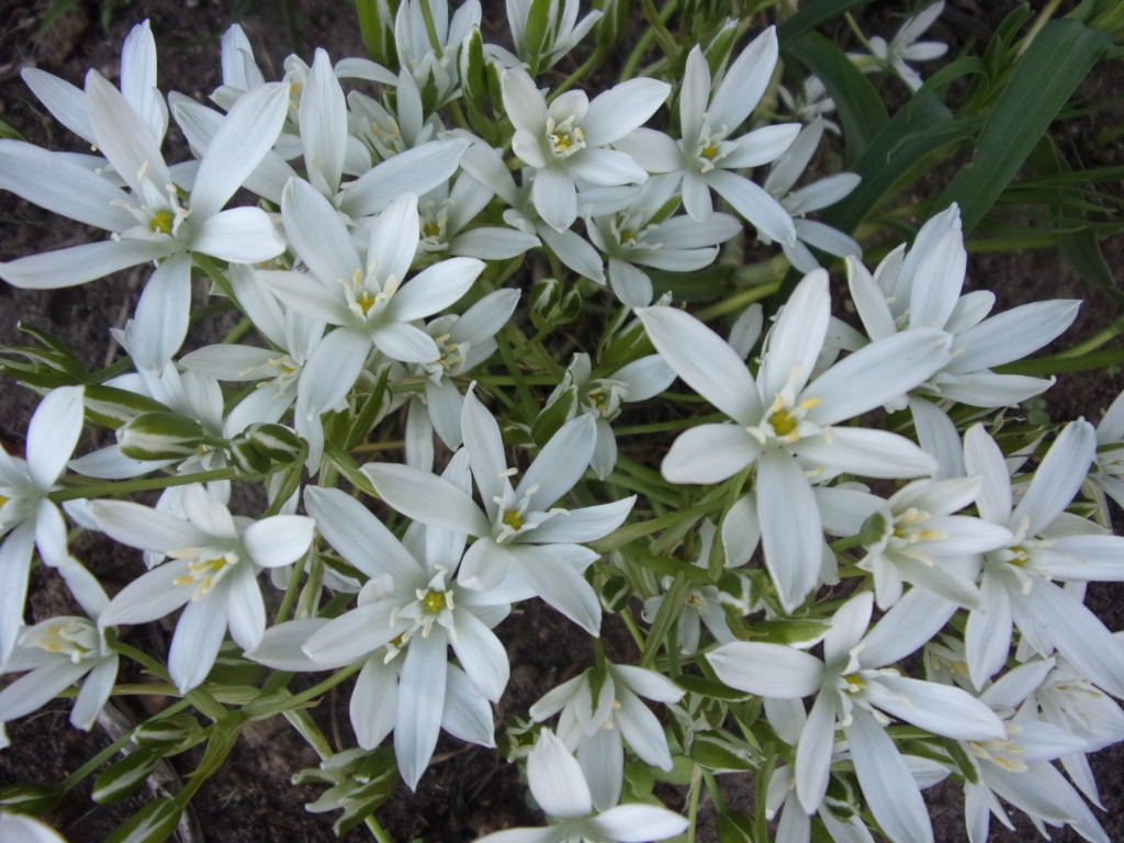 Autors: Inārs Dreijers