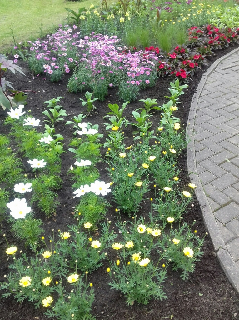 Autors: Silvija Karpoviča