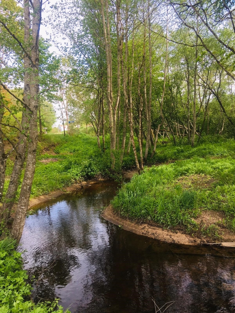 Iršupīte pavasarī.
Autors: Adriana Sogomonjana foto