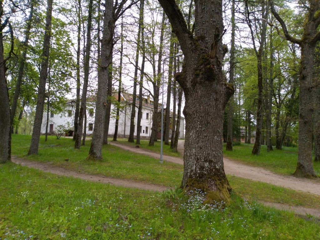 Lielzalves muiža šogad piedalās Vēsturisko parku un dārzu dienā.
Autors: no Ilmas Svilānes albuma