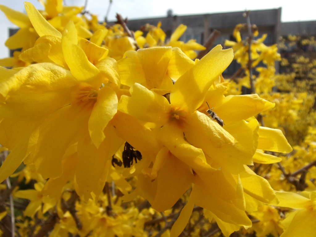 Autors: Inārs Dreijers