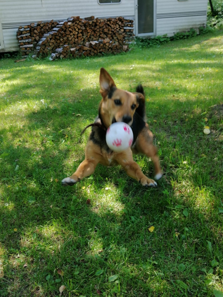 Autors: Ināra Sudare