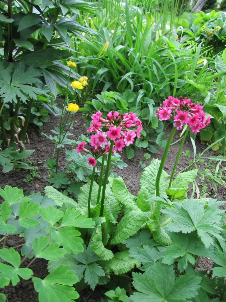 Autors: Inārs Dreijers