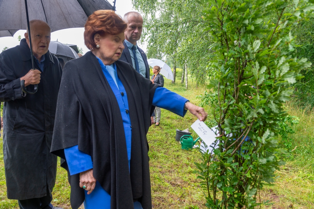Novēlējums. “Audz, zel un zaļo Latvijai līdzi” — šādu uzrakstu ozolam pievienoja eksprezidente Vaira Vīķe-Freiberga, bet Valsts prezidents Egils Levits — “Tautas likteņstāstā rodam spēku nākotnei”.