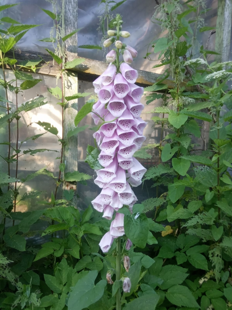 Autors: Ināra Sudare