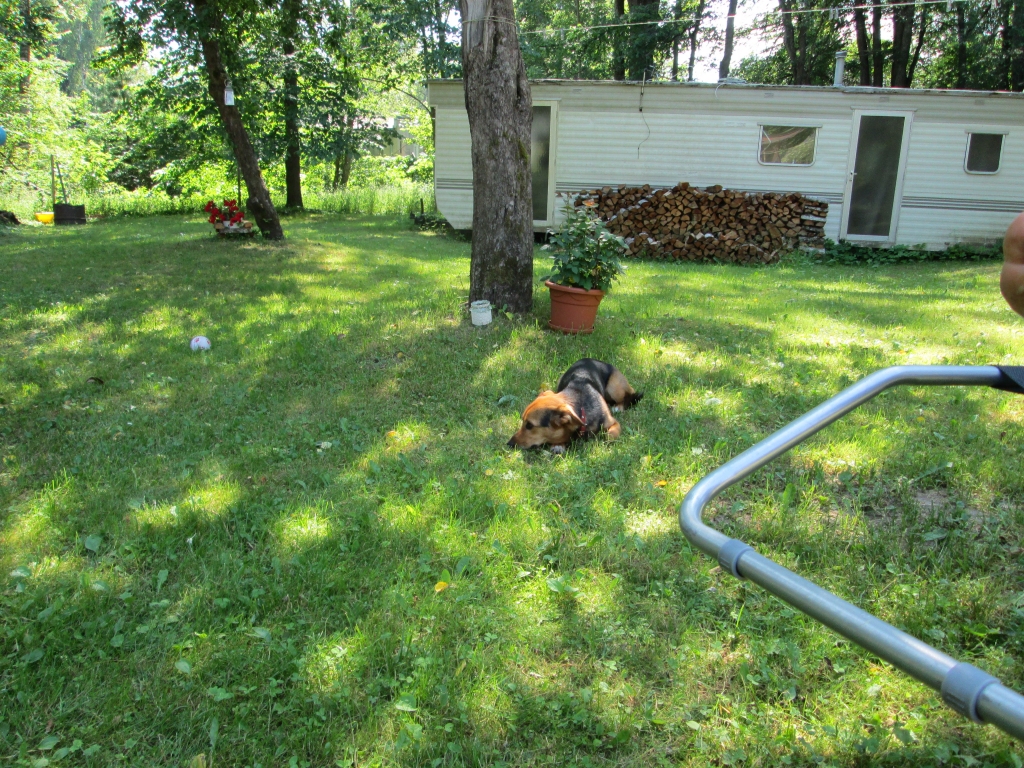 Autors: Ināra Sudare