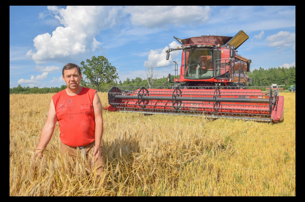 Pirmajā labības kulšanas dienā. Dairis Vorslavs no zemnieku saimniecības “Gala Tuņķi” Aizkraukles pagastā sācis ziemas miežu novākšanu.
Autors: Imants Kaziļuns