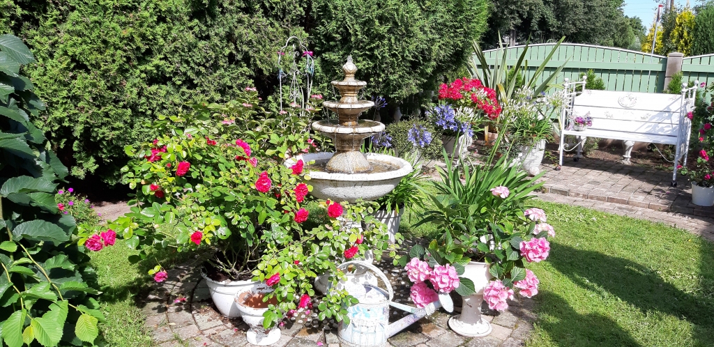 Autors: Agitas Grīnvaldes-Irukas foto