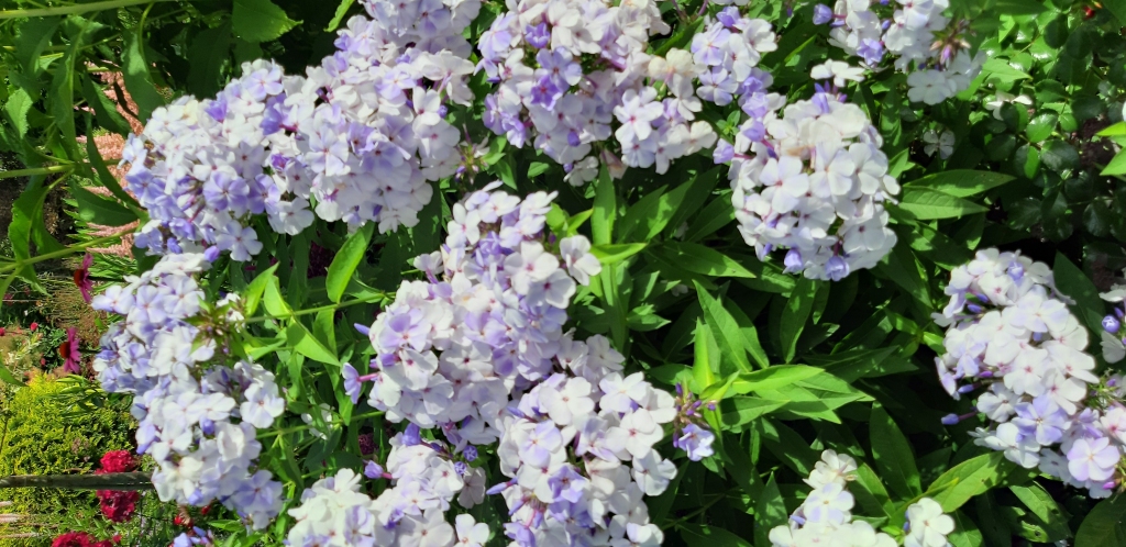 Autors: Agita Grīnvalde-Iruka