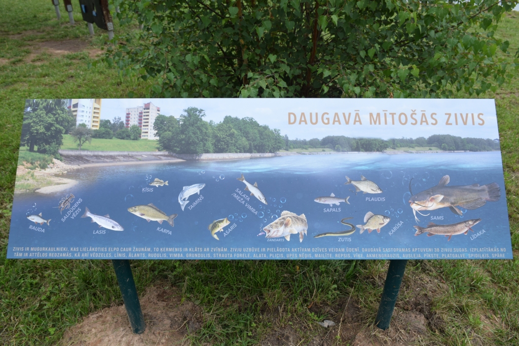 STENDS PAR ZIVĪM.
Autors: Guna Mikasenoka