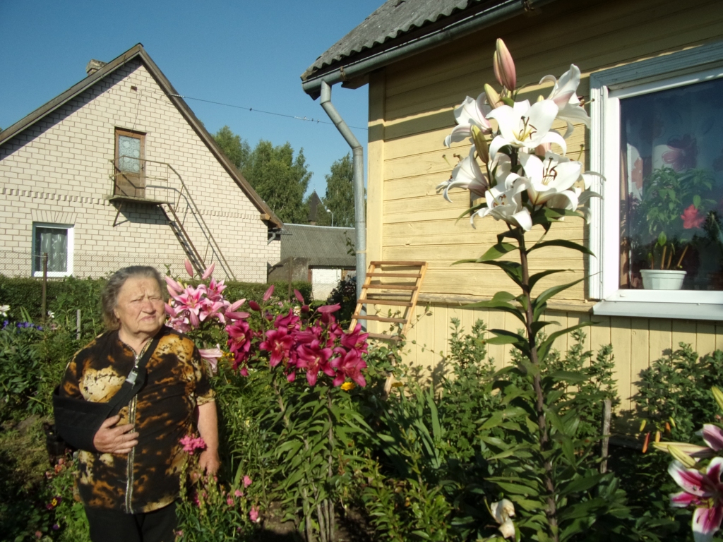 GARĀKA PAR SAIMNIECI. “Tik gara lilija manā dārzā izaugusi pirmo reizi,” teic Marija Laškova.
Autors: Inārs Dreijers