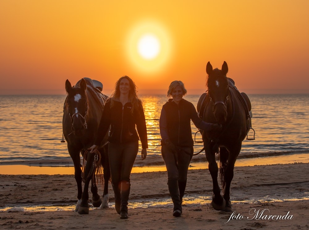 Kristīna Runce un Līga Vilne šonedēļ sākušas ceļojumu apkārt Latvijai zirga mugurā. Pagājušajā gadā ceļojums vedis gar jūru, šogad — pa sauszemes robežu.
Autors: no ceļotāju albuma