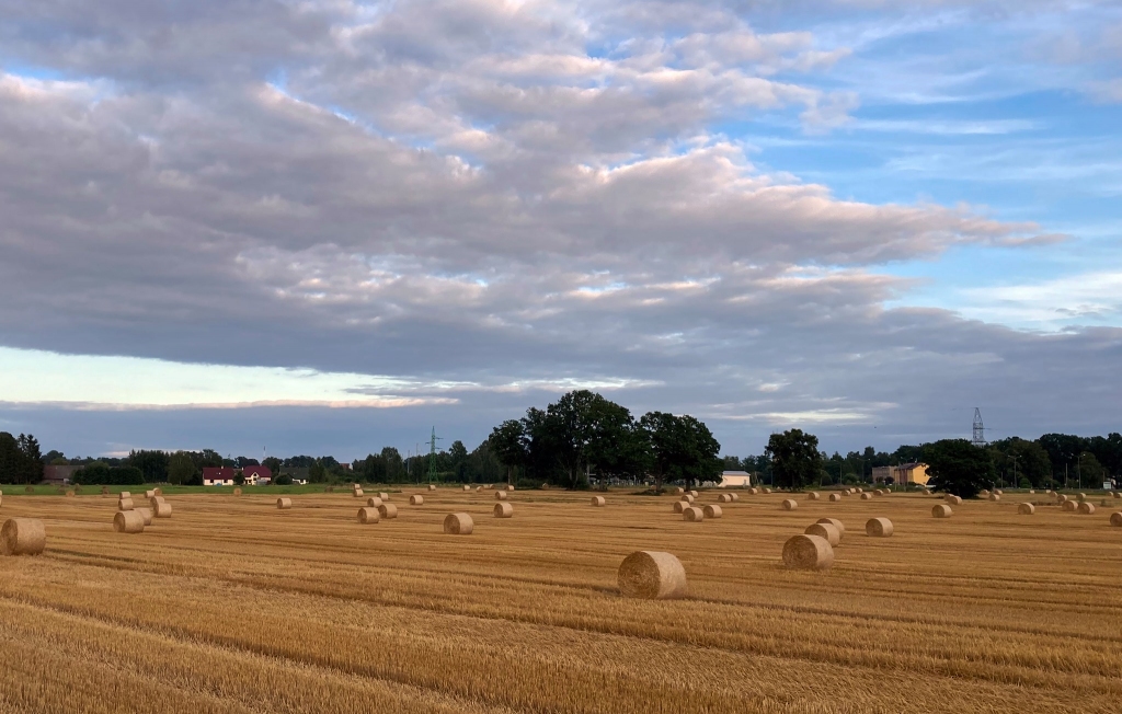 Autors: Aināra Zariņa foto