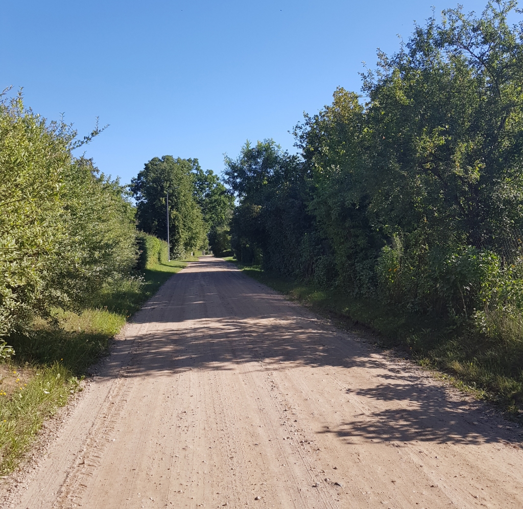 KALNA IELA Skrīveros ir blīvi apdzīvota, un tajā ir intensīva satiksme, kas iedzīvotājiem rada pamatīgas problēmas, jo sausā laikā apkārtni pārklāj grantētās ielas putekļi. Pēc ielas apstrādes skrīverieši beidzot varēs uzelpot.
Autors: Silvija Karpoviča