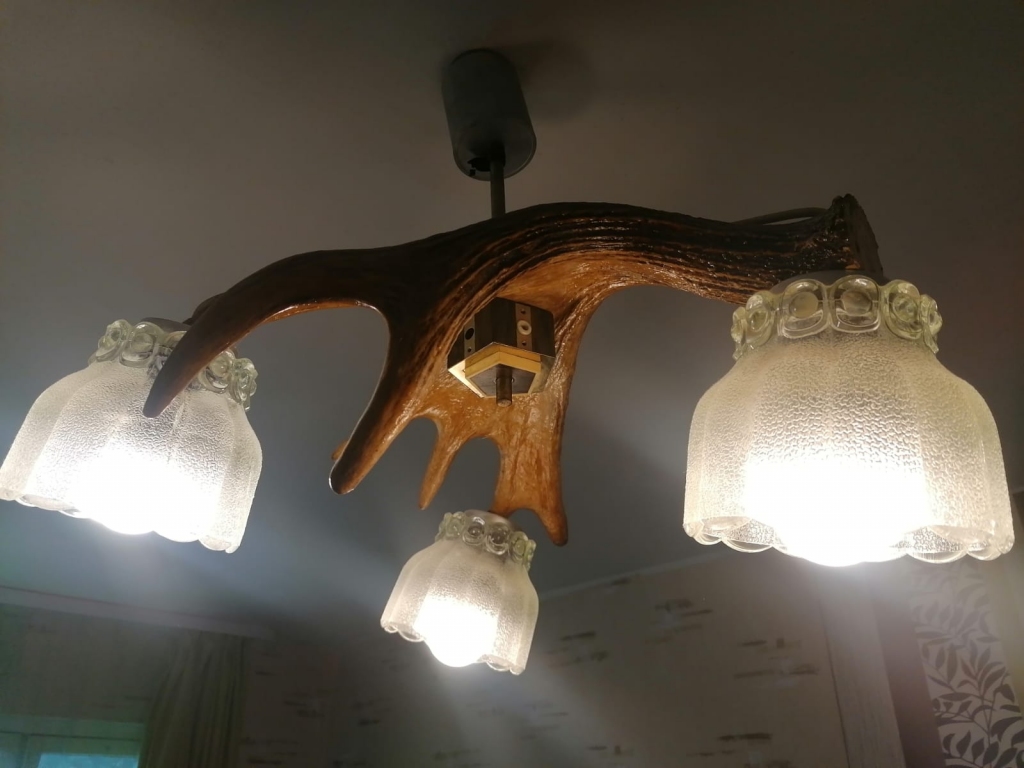 Unikāla lampa. Aļņa rags pārvērsts unikālā griestu lampā.
Autor
Autors: autores