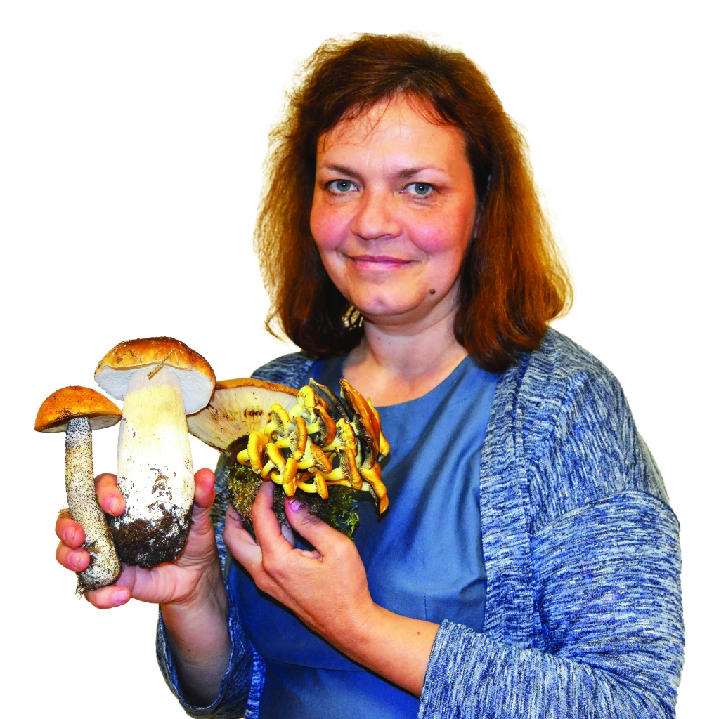 INTERESE PAR SĒNĒM. Mikoloģe Diāna Meiere īpaši pētījusi piepes, kā arī pazemes sēnes, kuru atrašanai pat apmācījusi savu suni, tomēr nav vienaldzīga arī pret citām sēnēm. Vislabāk pētniecei garšo vienkārši pagatavojamas meža veltes.