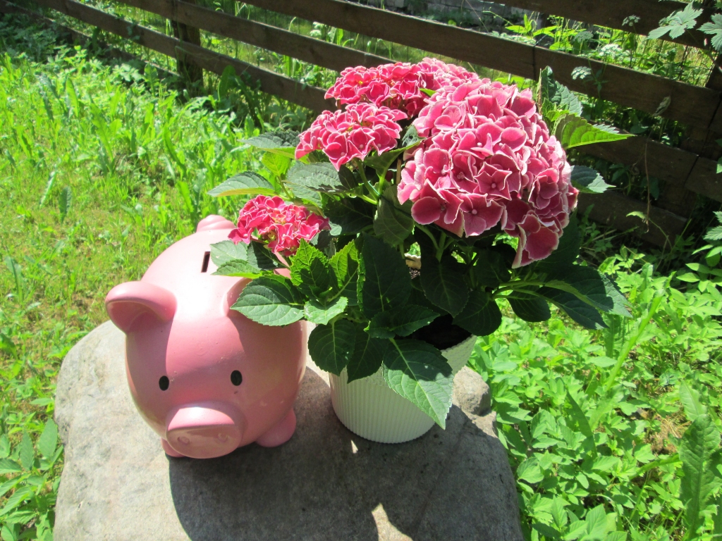 Autors: Ināra Sudare