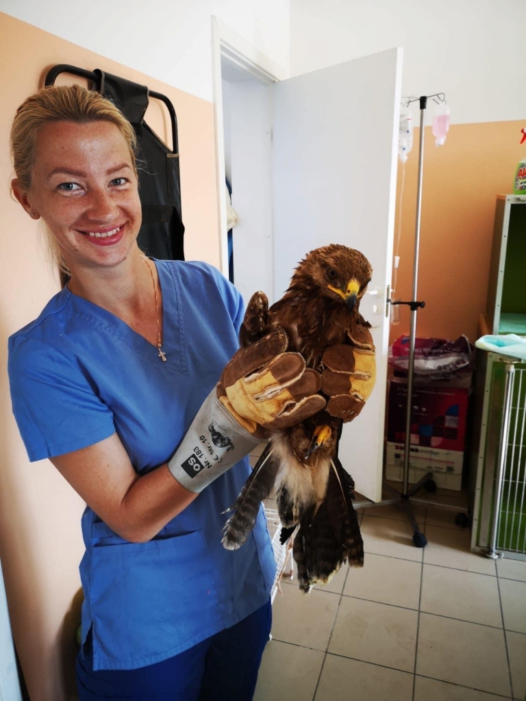 Veiksmes stāsts. Veterinārārste Kintija Kleimane ar izglābto mazo ērgli.
Autors: no personīgā albuma