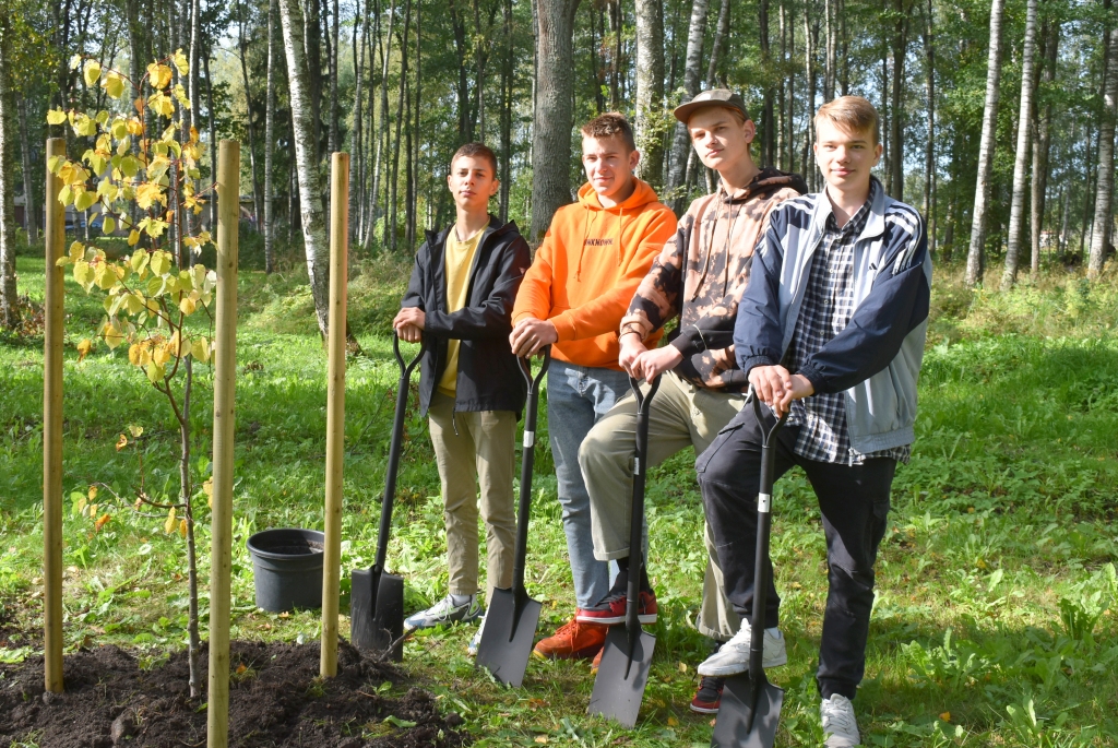LIEPA IESTĀDĪTA! Aizkraukles novada vidusskolas audzēkņi Rainers Strautnieks (no kreisās), Hugo Kaminskis, Roberts Priedītis un Armands Cinis.