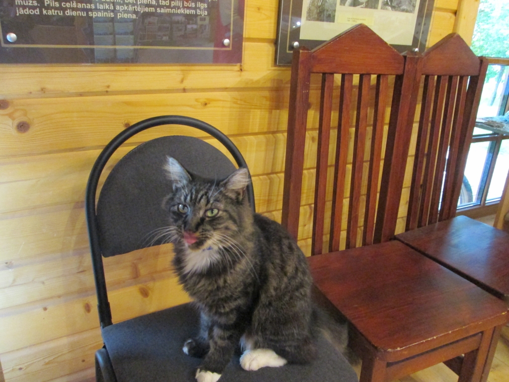 Kā vizītkarte. Ekskursantiem pēc pilsdrupu apmeklējuma atmiņā paliek arī viesmīlīgais Zorro.