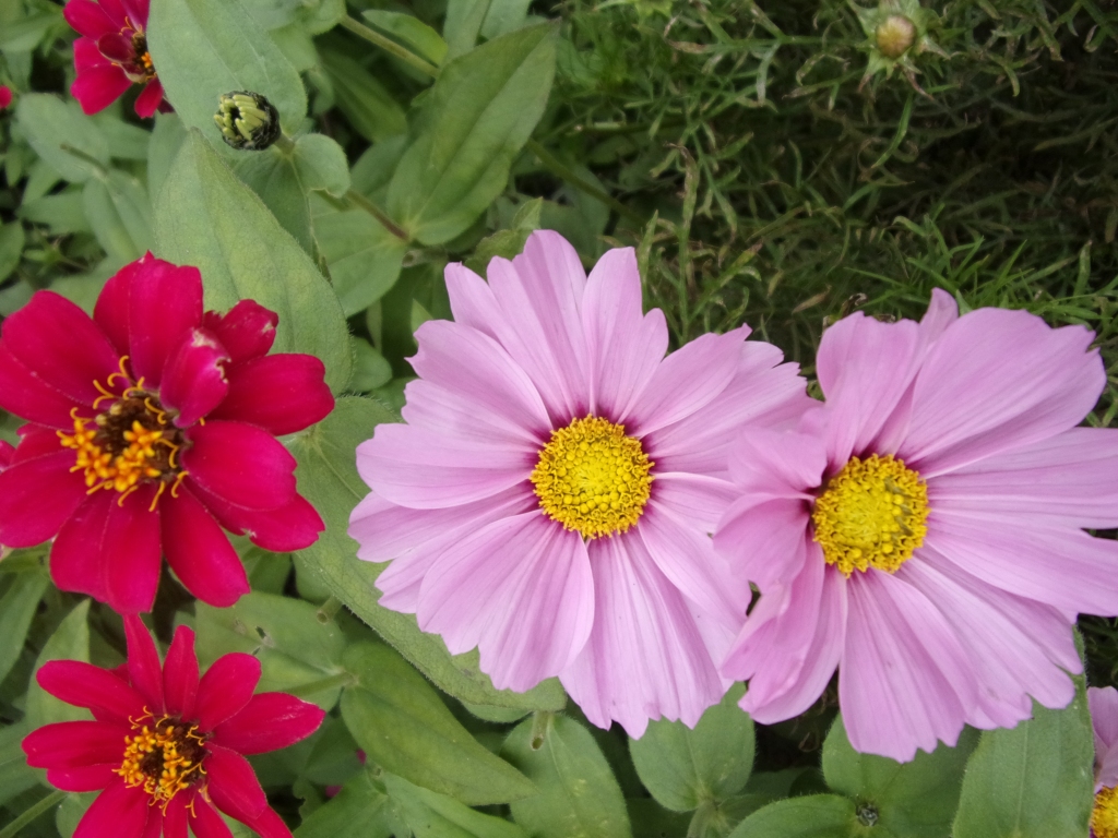 Autors: Inārs Dreijers