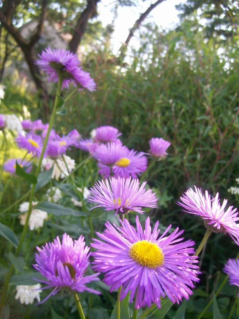 Autors: Ināra Sudare