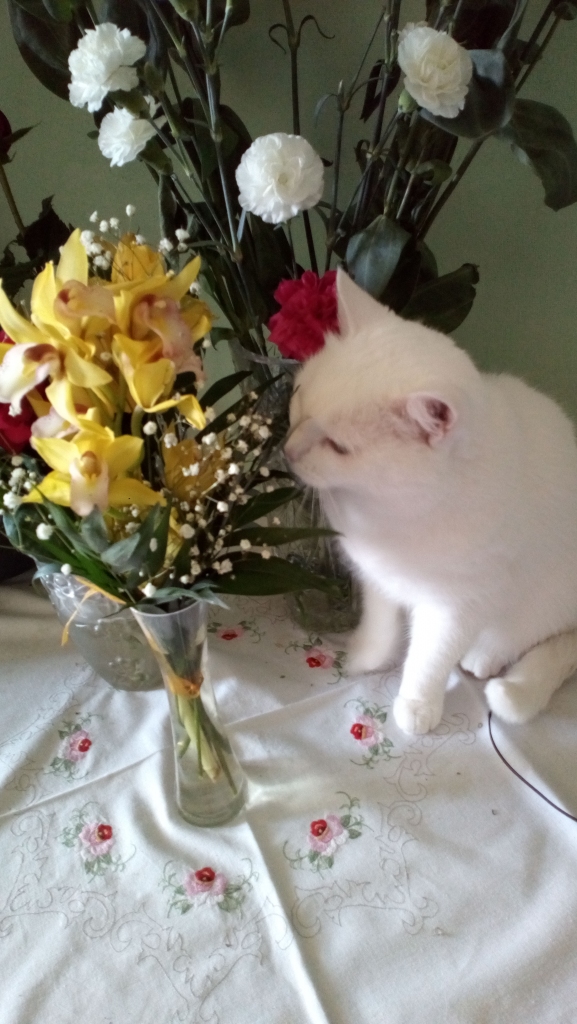 Autors: Biruta Žunda