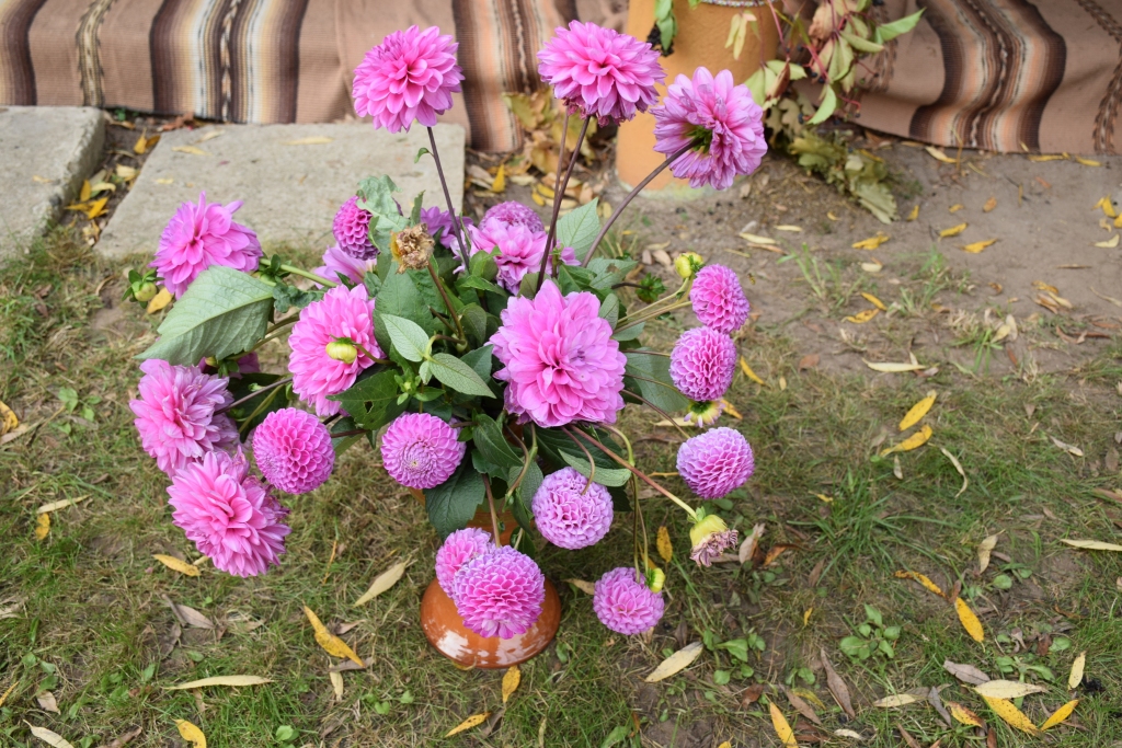 Autors: Guna Mikasenoka