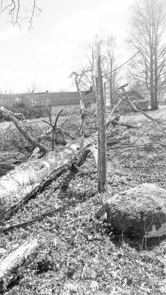 Bojājumiem jābūt konstatējamiem un cēloņsakarīgi saistītiem ar apdrošinātā riska iestāšanos.
Autors: ilustratīvs attēls no “Sadales tīkla”