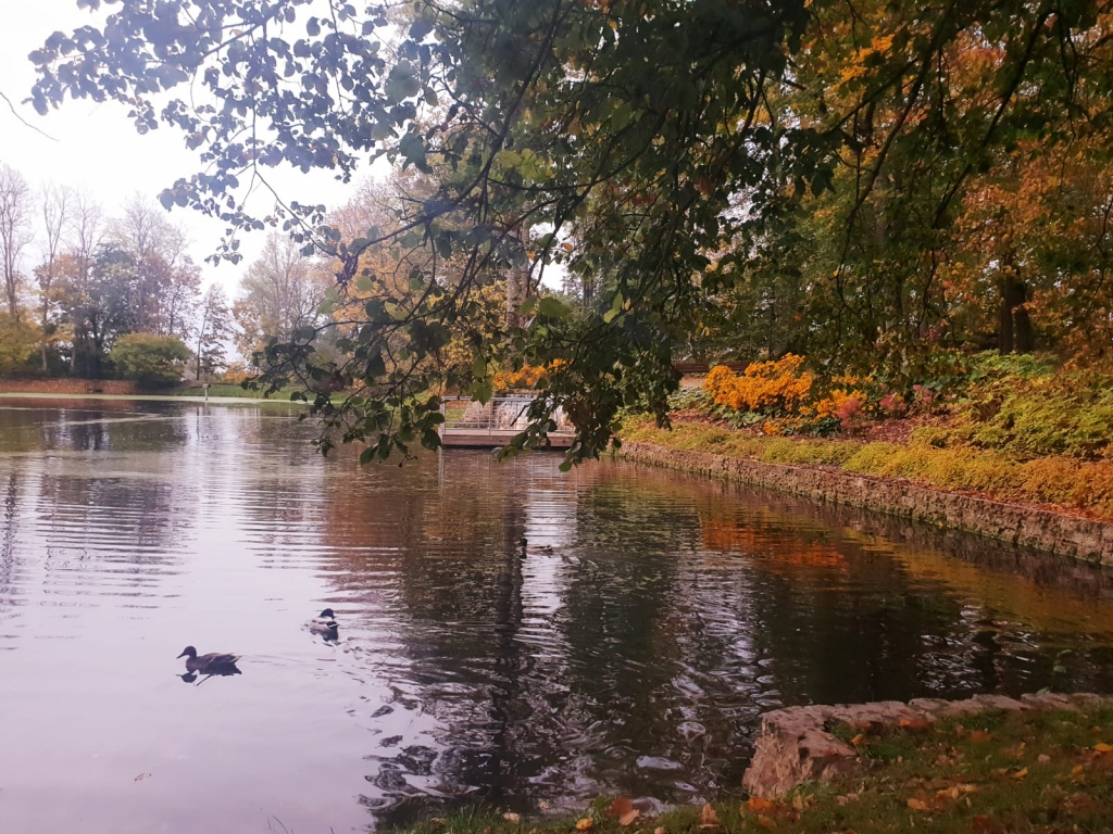 Autors: Silvija Karpoviča