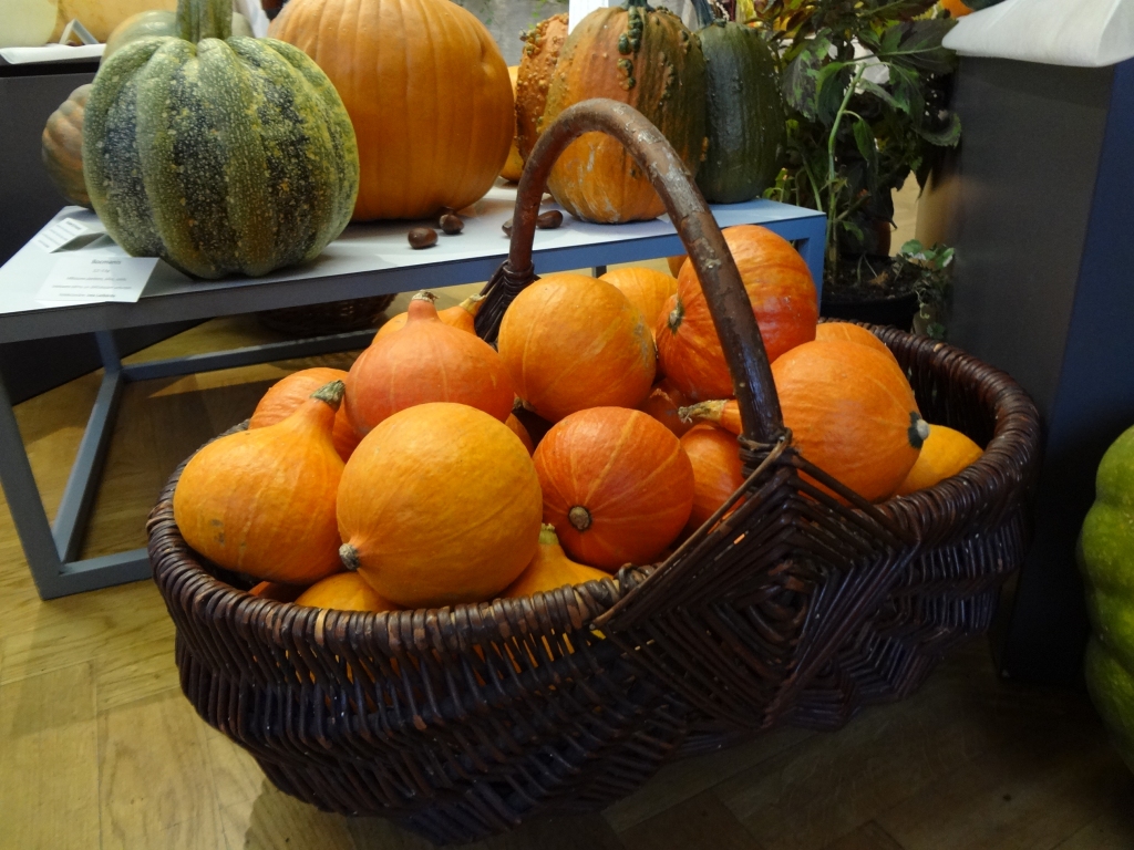 Autors: Ināra Sudare