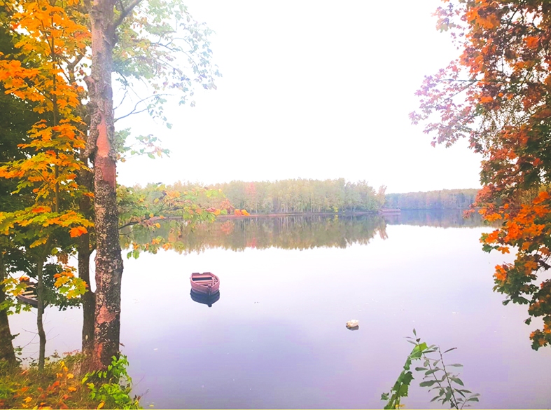 Autors: Silvija Karpoviča