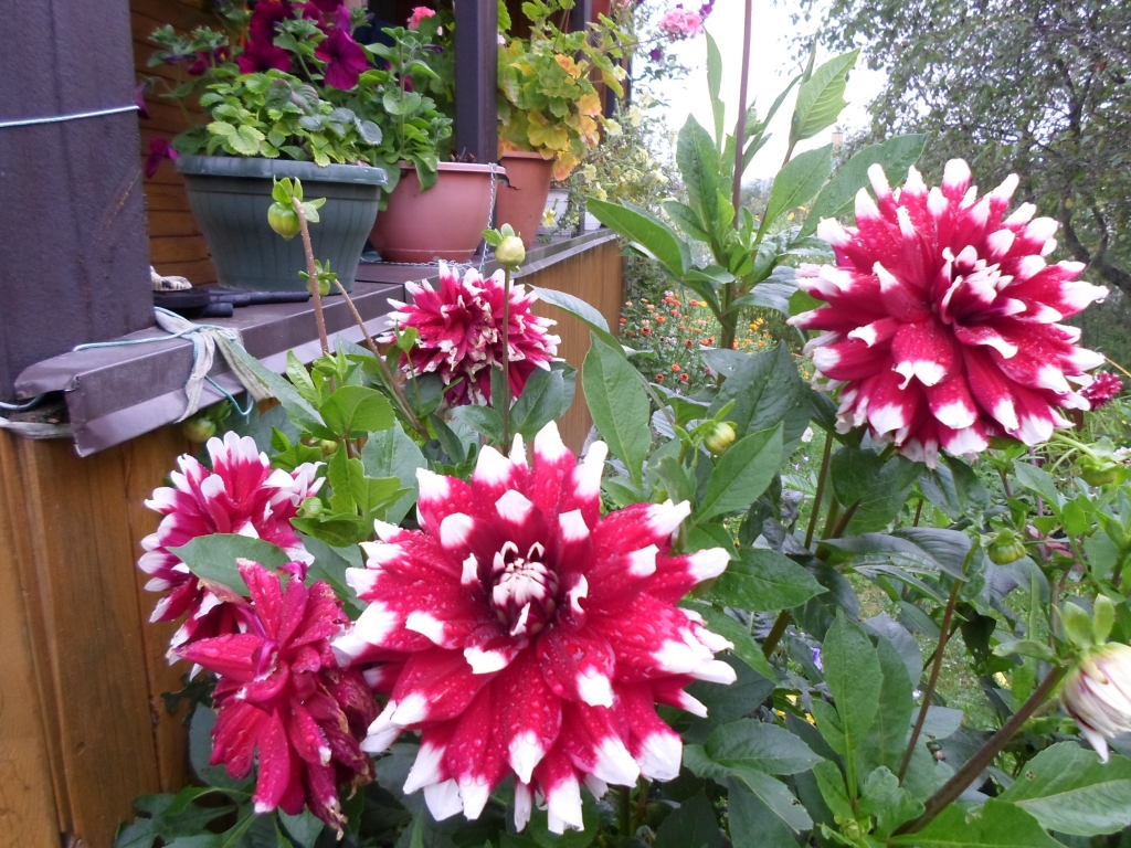 Autors: Ināra Sudare