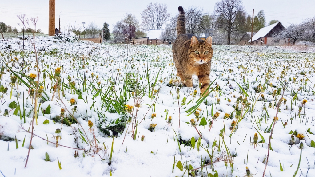 Autors: Imanta Kaziļuna foto