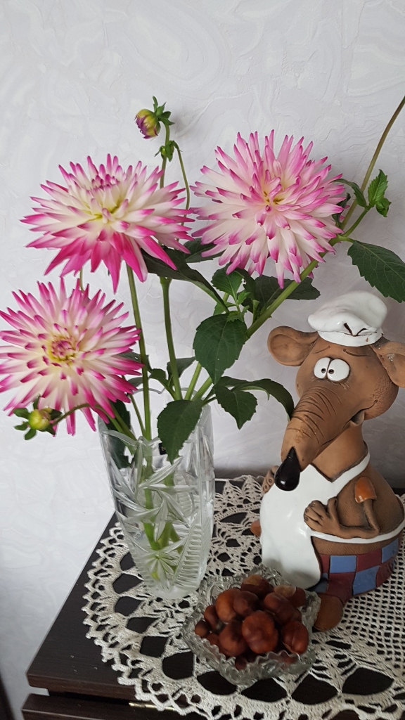 Autors: Anna Grietiņa