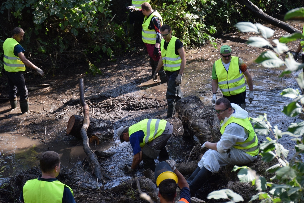 Pirmā talka. 2018. gadā Pērses attīrīšanas talkā piedalījās “Latvenergo” darbinieki ar ģimenēm, Kokneses novada pašvaldības pārstāvji un biedrība “Mēs zivīm”.
Autors: no “Staburaga” arhīva