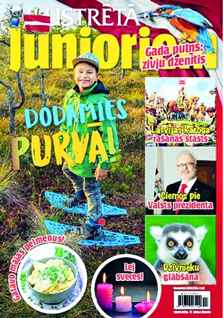 Aluksniesiem.lv raksta attēla aizvietotājs