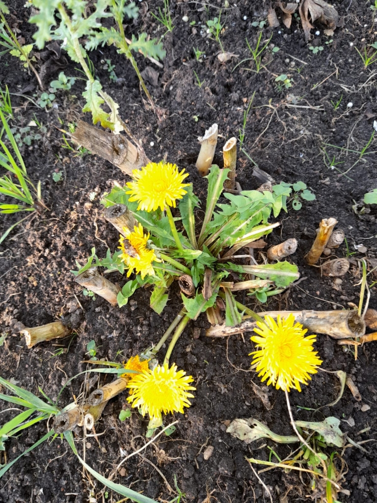 Autors: Ivetas Skabas foto