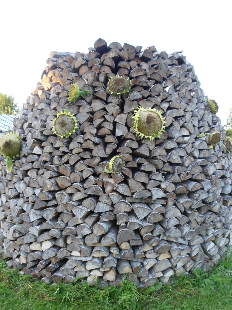 Autors: Ināra Sudare