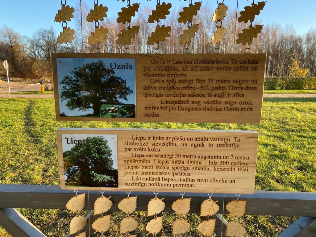 Liepozolu lapene Likteņdārzā ir ne tikai jauna atpūtas vieta, bet arī izglītojošs vides objekts, kurā apmeklētāji var iepazīt latviešiem svarīgos kokus — ozolu un liepu. Pirmie to apmeklēja Erasmus+ programmas studenti no Francijas.
Autors: Linda Galino