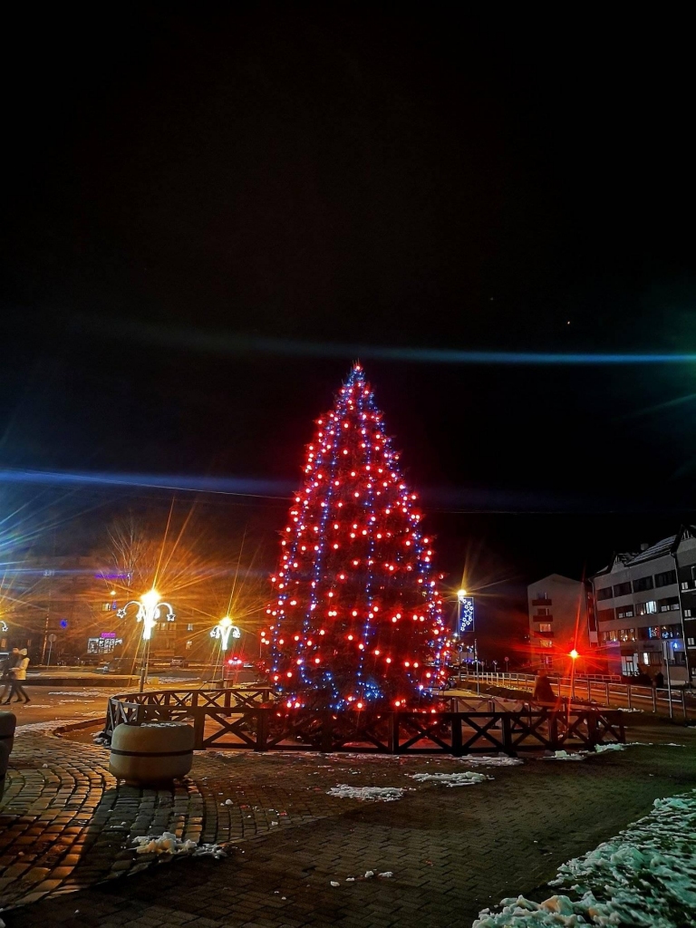 JAUNI ROTĀJUMI.
Autors: Jolanta Grosa-Eglīte